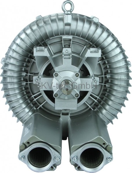 ring blower (BD) with 318 m³/h
